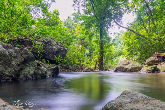 konni-forest-reserve